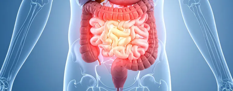 especialista en problemas del colon